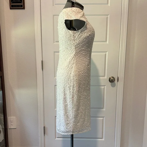 Elegant Off White Sequin Dress - Picture 3 of 6